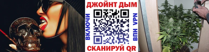 Бошки марихуана план  Славянск-на-Кубани 